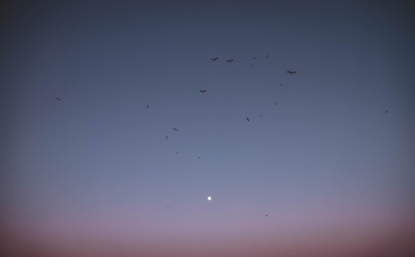 Mais uma volta ao&nbsp;Sol